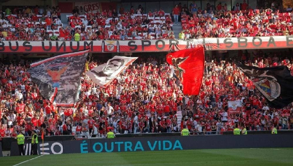 Moda Claque do benfica 