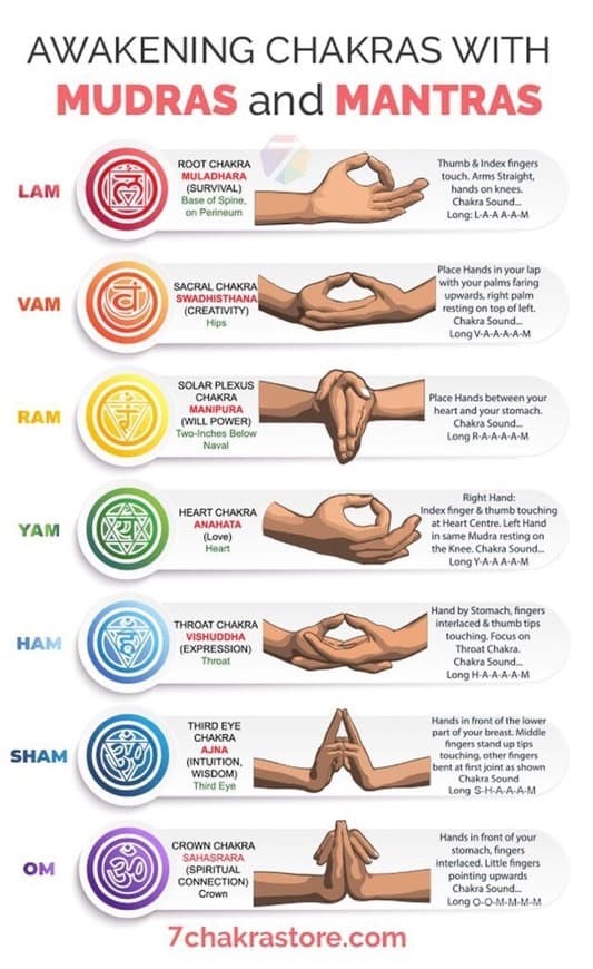 Moda Chakras 