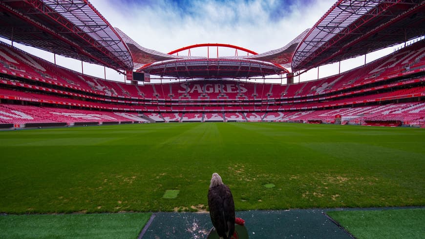 Place Estádio Sport Lisboa e Benfica