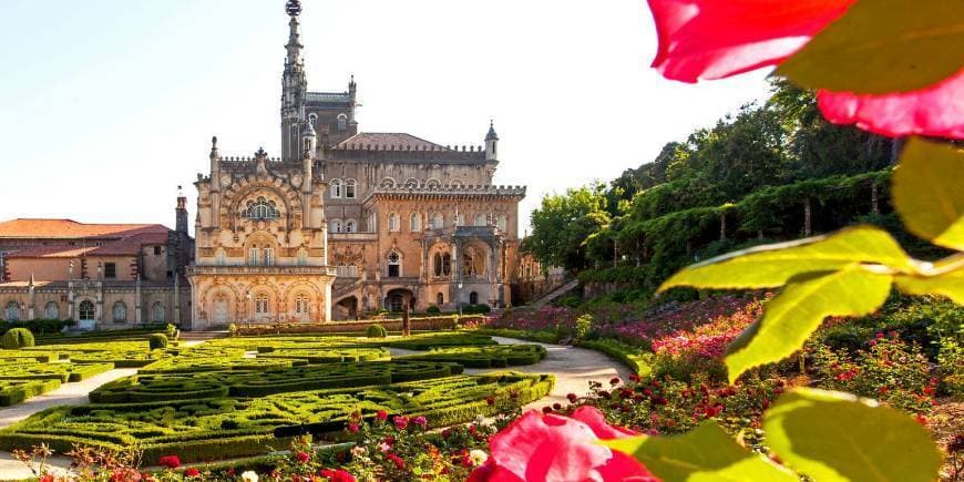 Lugar Bussaco Palace Hotel