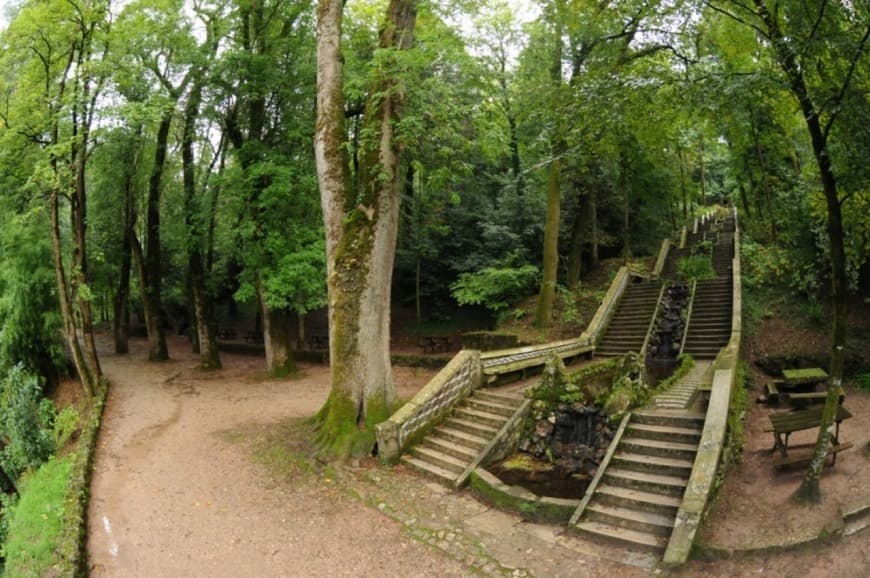 Lugar Fundação Mata do Bussaco