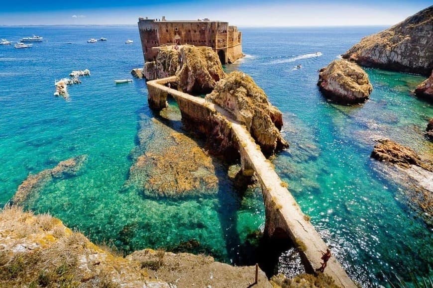 Lugar Passeio turístico Ilha das Berlengas