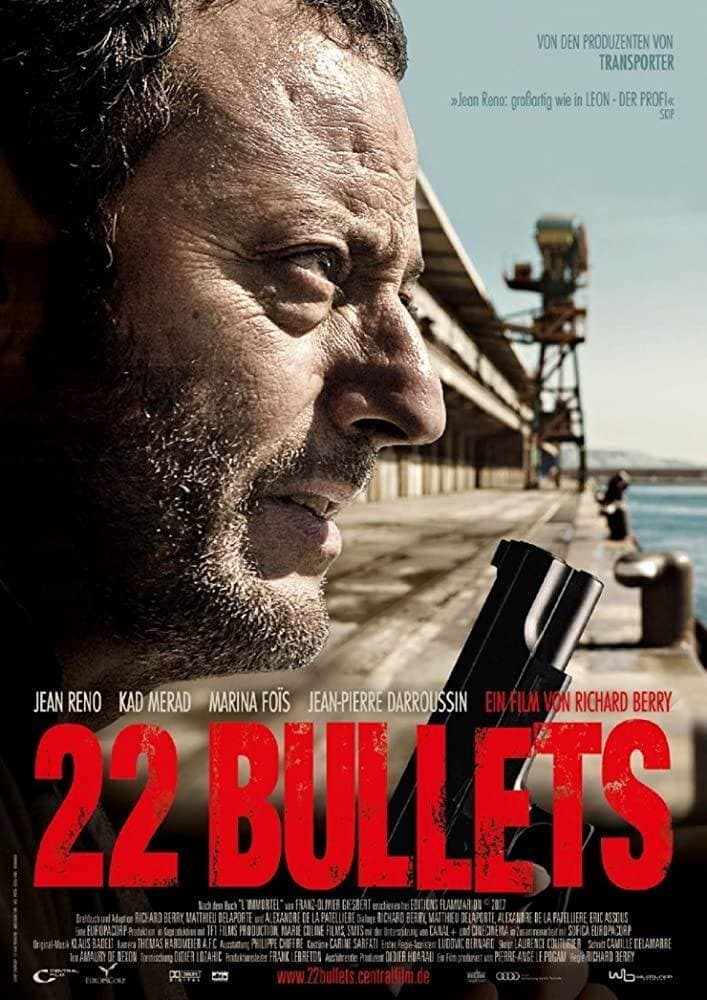 Movie 22 Bullets (2010)

