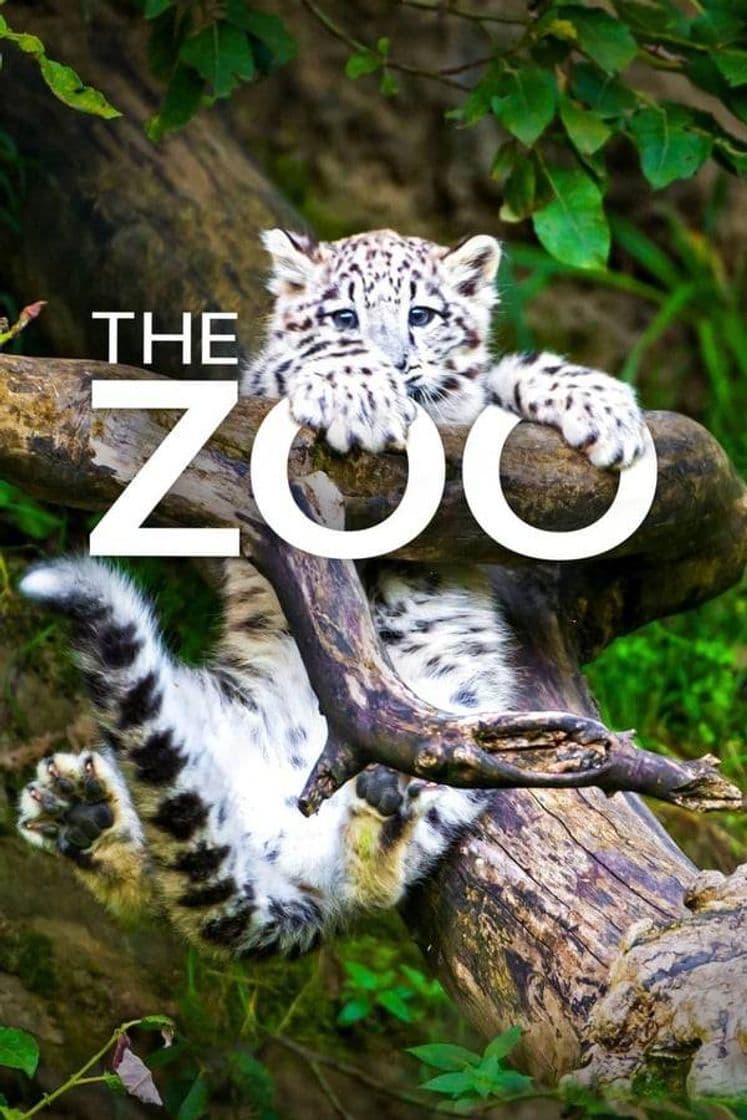 Serie The Zoo (TV Series) 