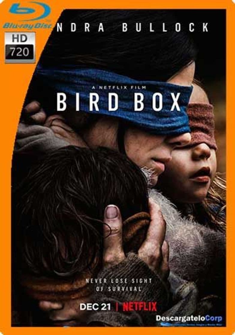 Movie Bird Box