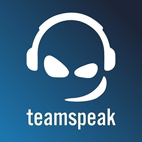 Electronic Team Speak