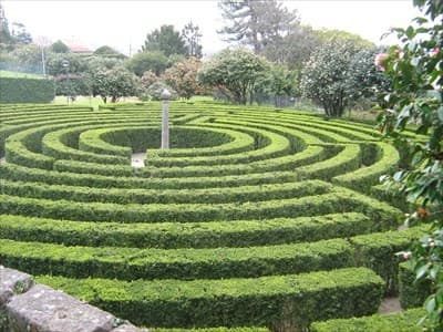 Place Parque São Roque- Porto