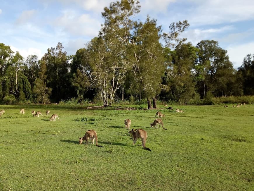 Place Coombabah Lake Conservation Park