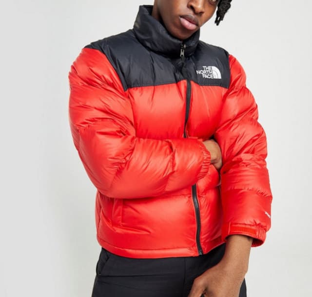 Fashion Casaco The North Face 