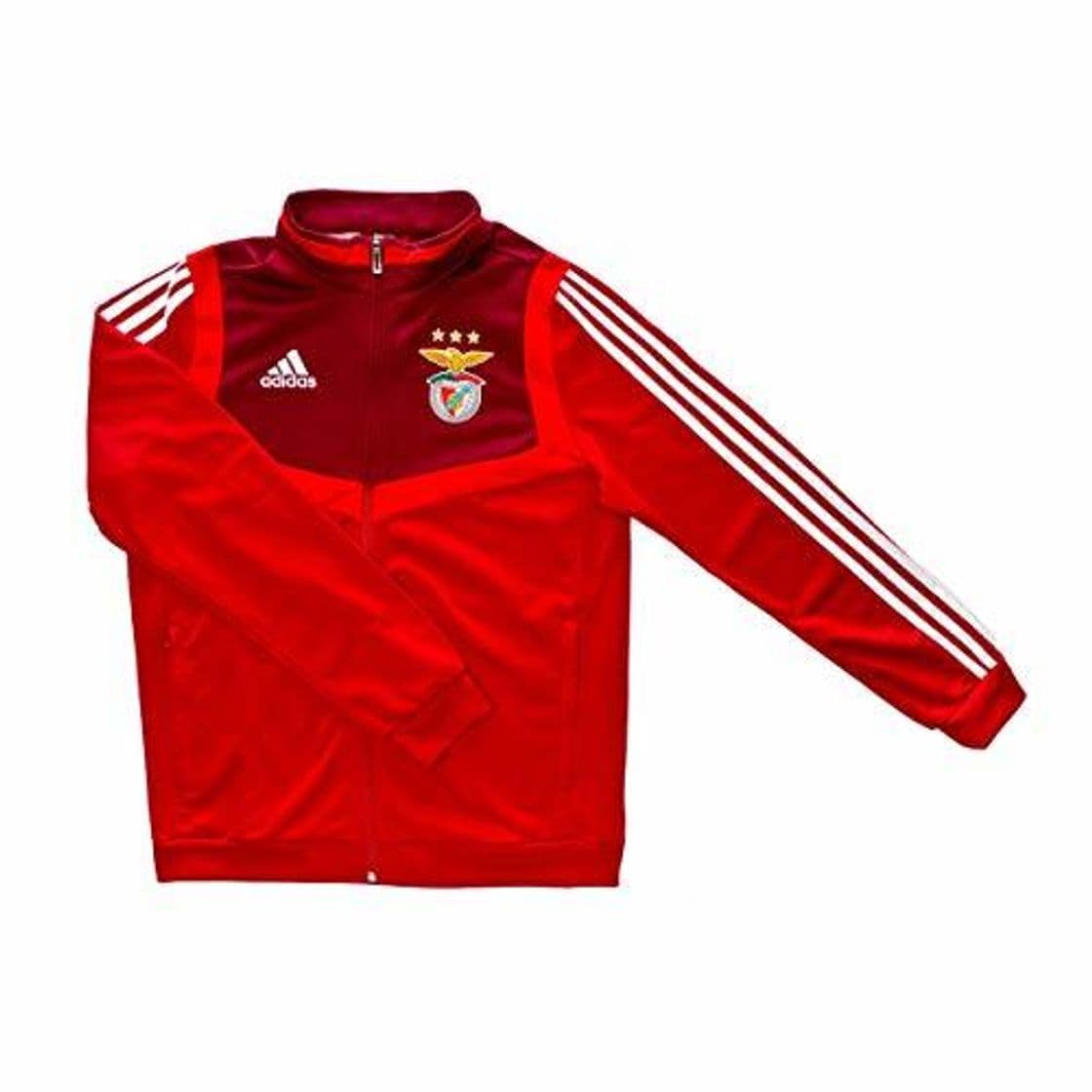 Fitness adidas - SL Benfica -  Casaco Tiro Pre CR 19/20