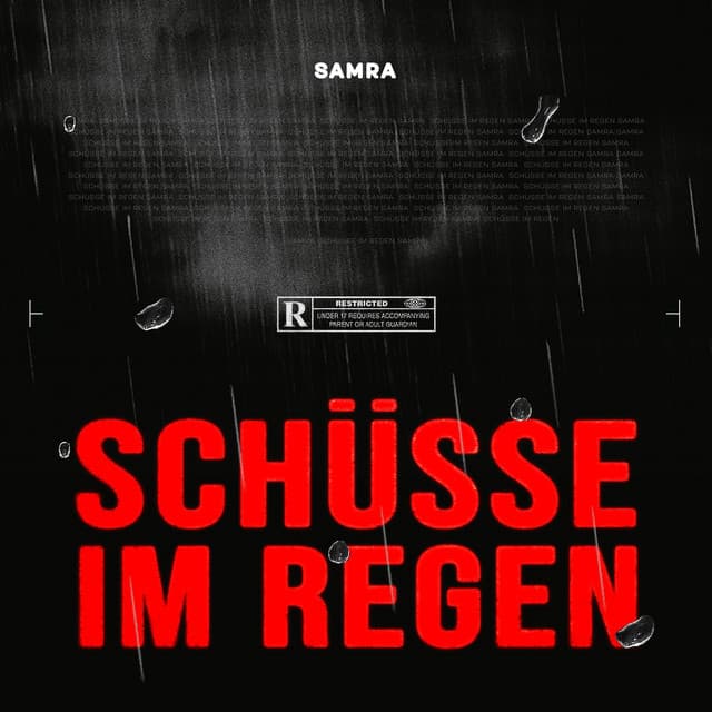 Canción Schüsse im Regen