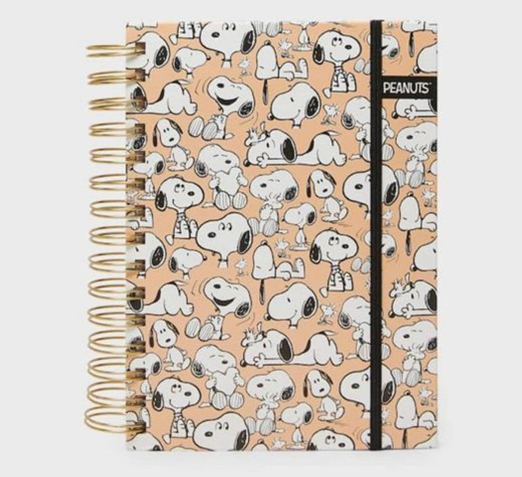 Product Planner Snoopy 