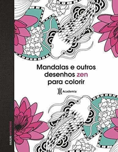 Libro Mandalas e outros desenhos zen para colorir