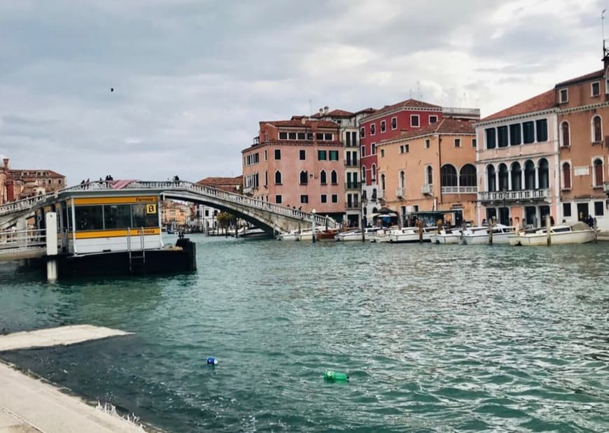 Place Gran Canal de Venecia