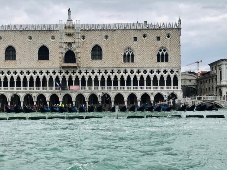 Place Palacio Ducal de Venecia