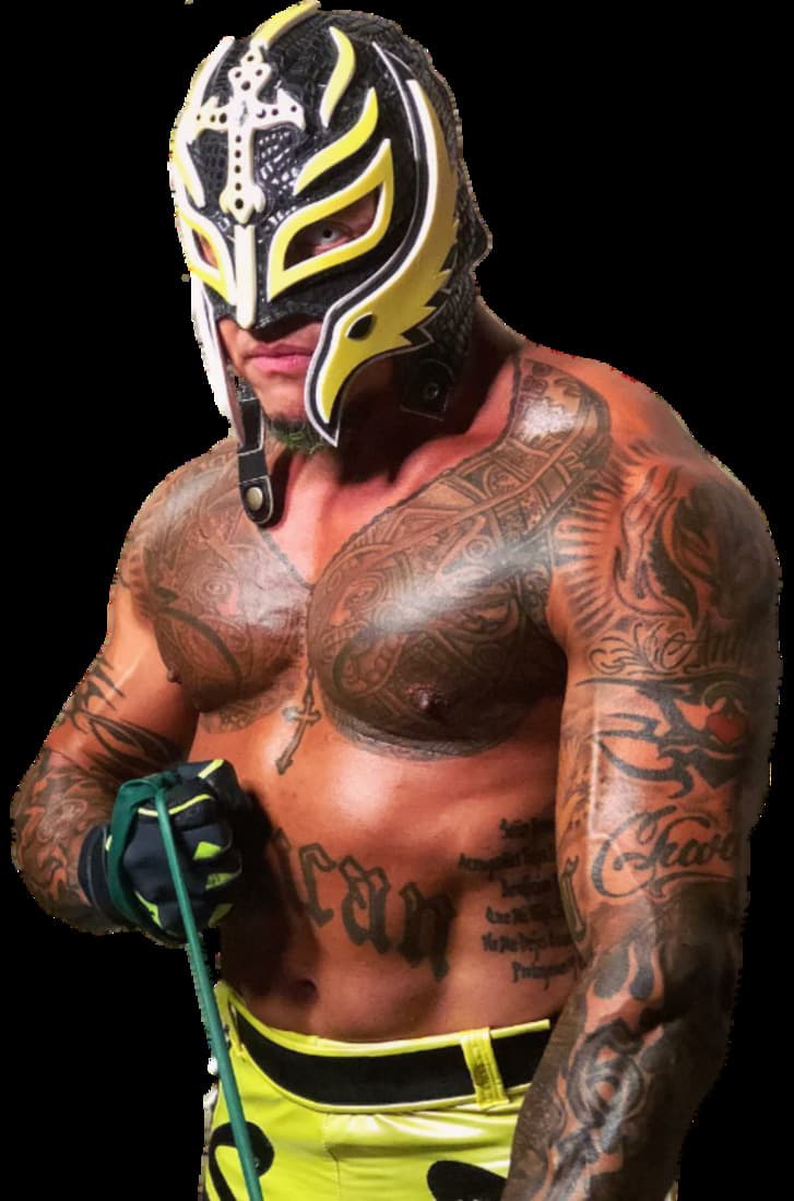 Fashion Rey Mysterio - Wikipedia