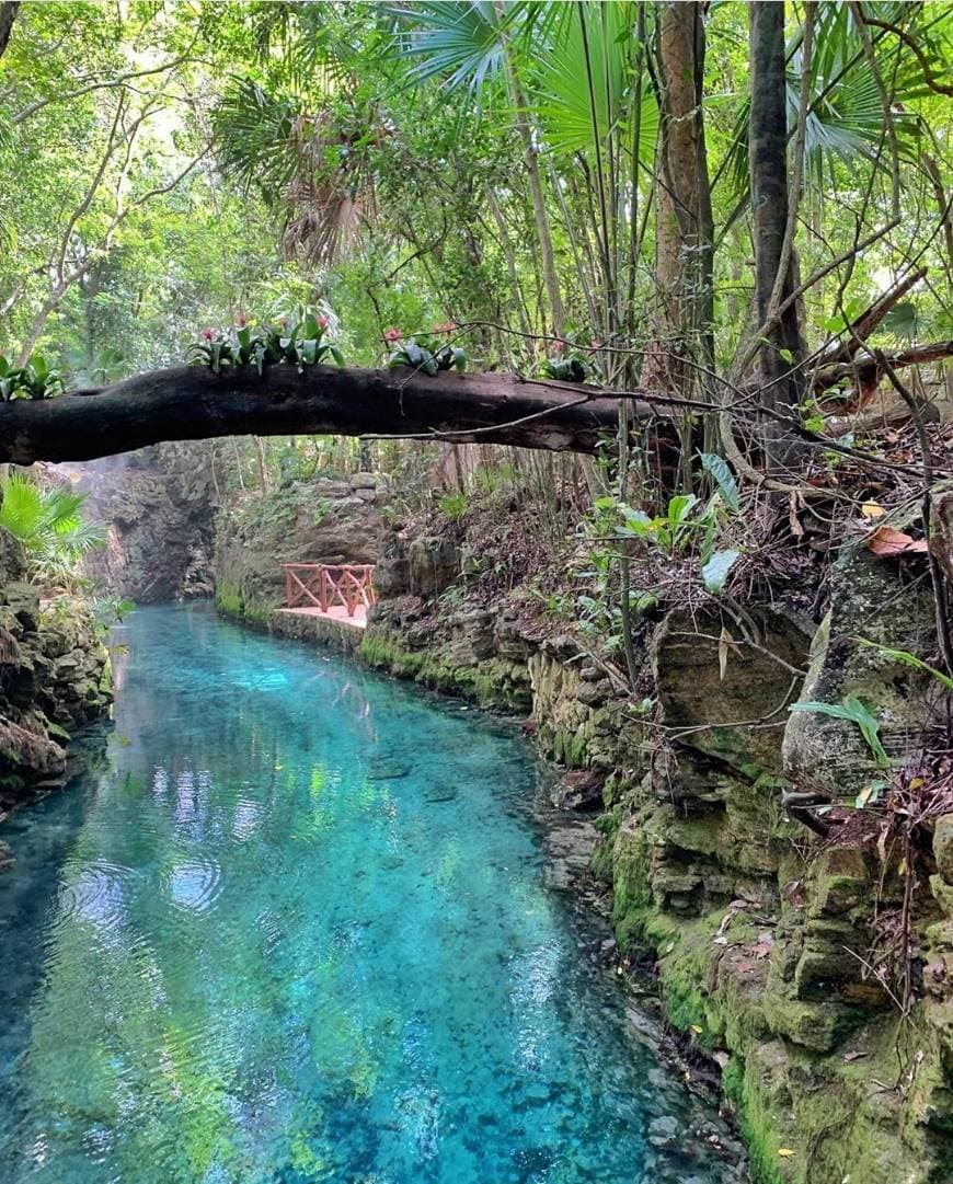 Lugar Hotel Xcaret Mexico