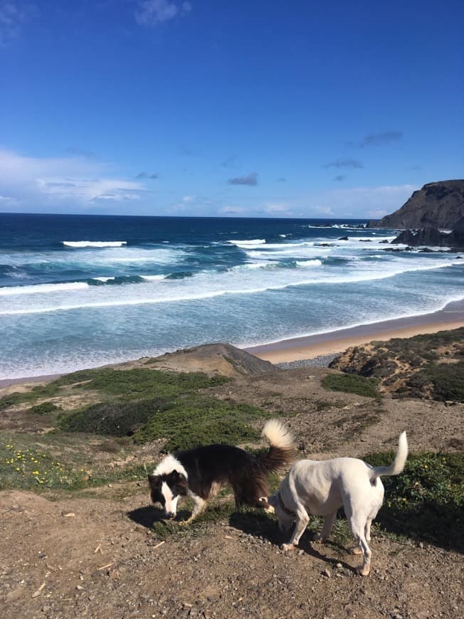 Lugar Ponta Ruiva Beach