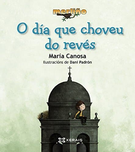 Book O día que choveu do revés