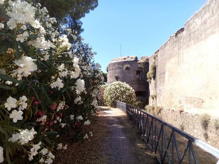 Place Castelo de Vila Viçosa