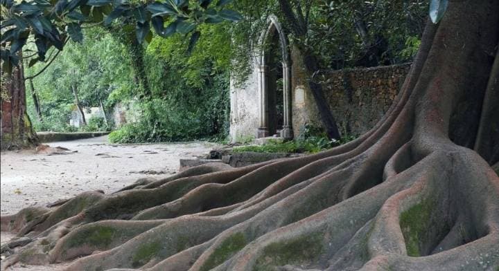 Lugar Jardins da Quinta das Lágrimas