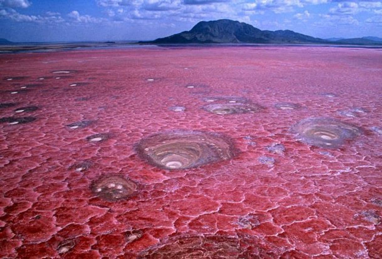 Place Lago Natron