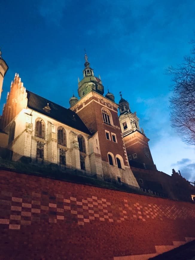 Lugar Castillo de Wawel