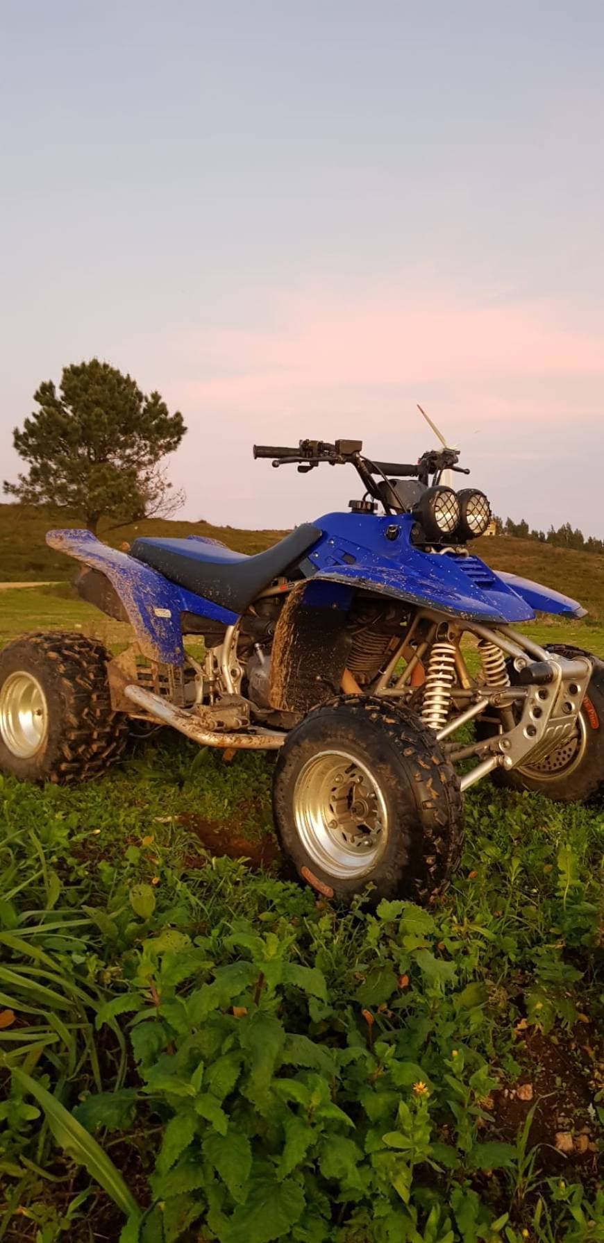 Producto Yamaha warrior 350 yfm