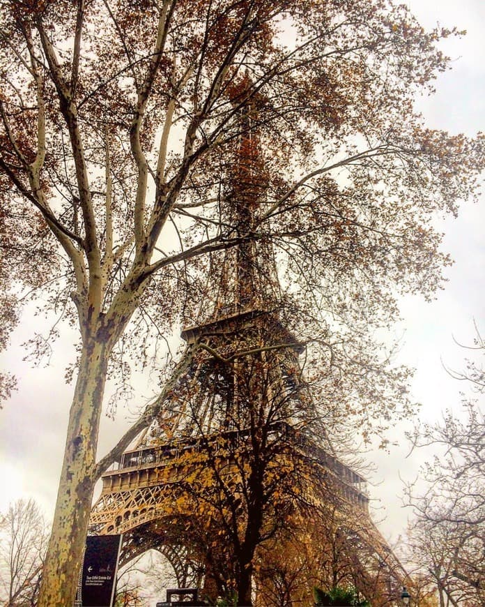 Place Torre Eiffel