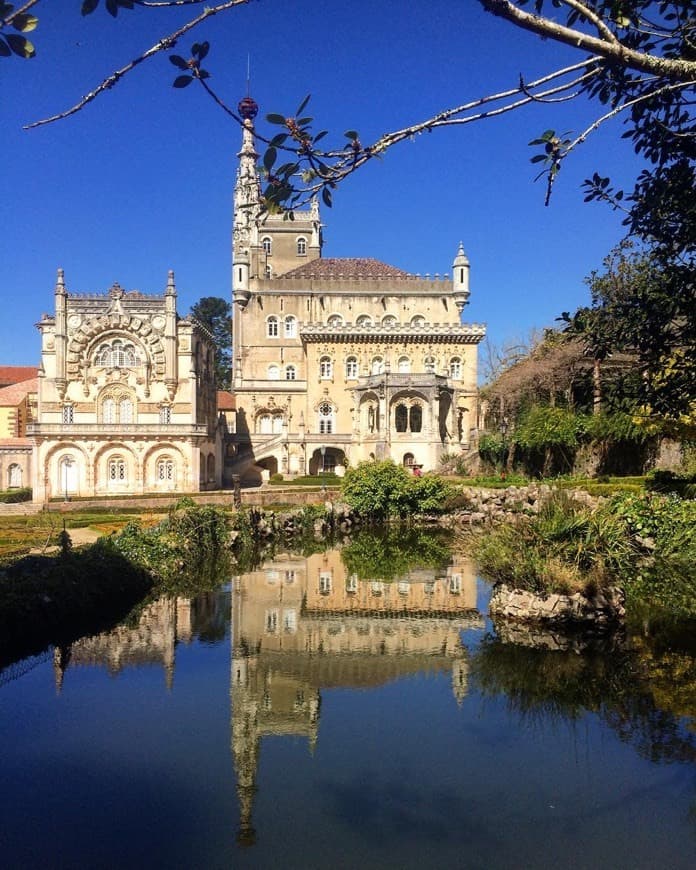 Place Bussaco Palace Hotel