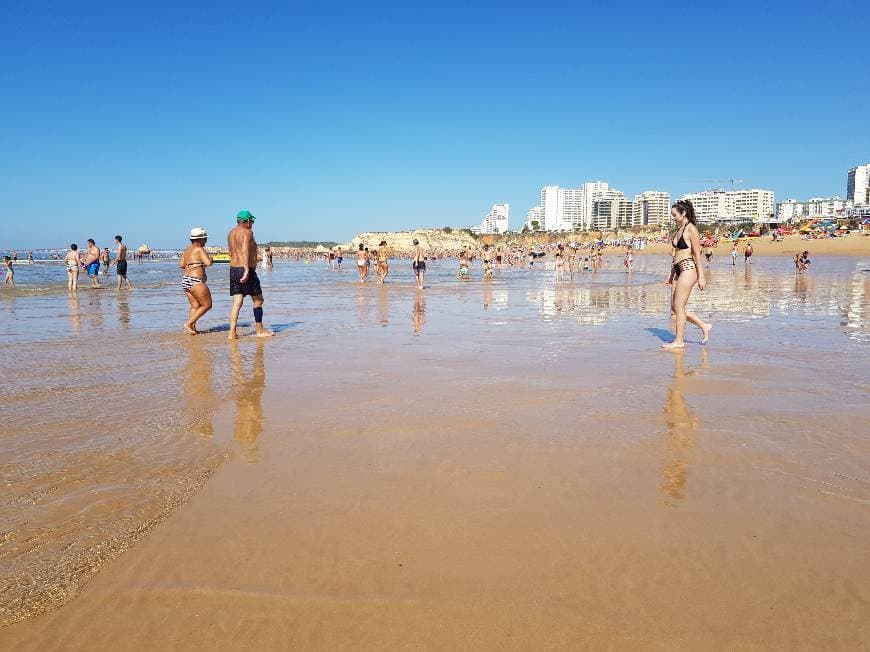 Lugar Praia da Rocha