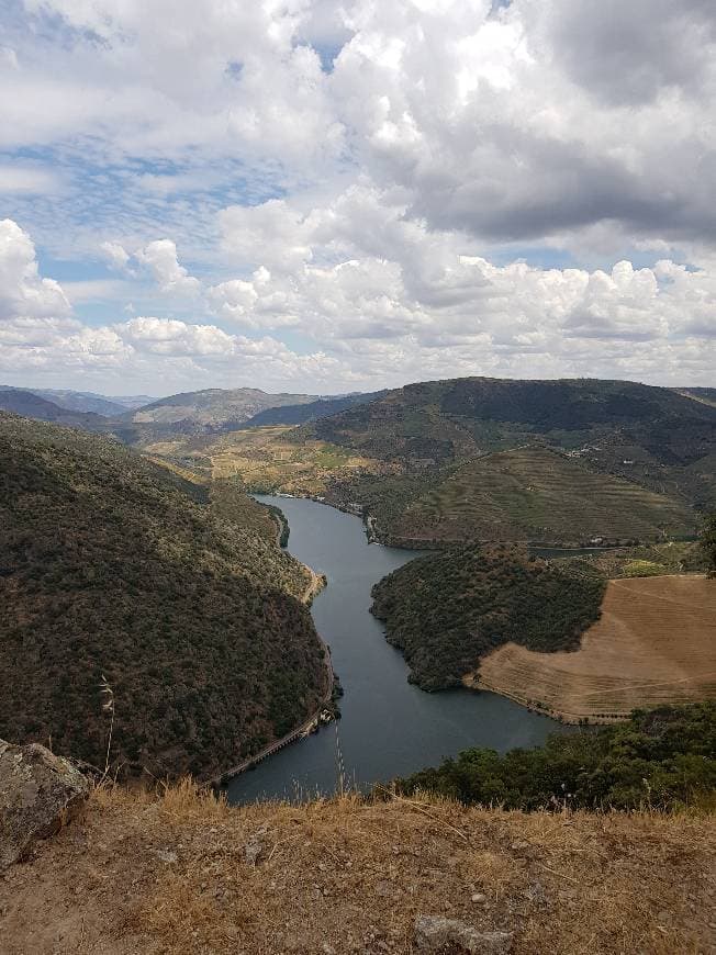 Lugar Miradouro de São Salvador do Mundo