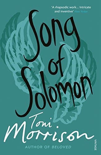 Book Song of Solomon: A Novel