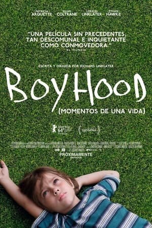 Película Boyhood