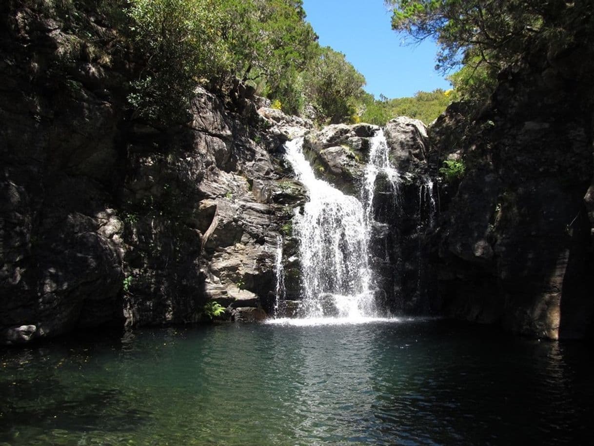 Lugar Levada do Alecrim