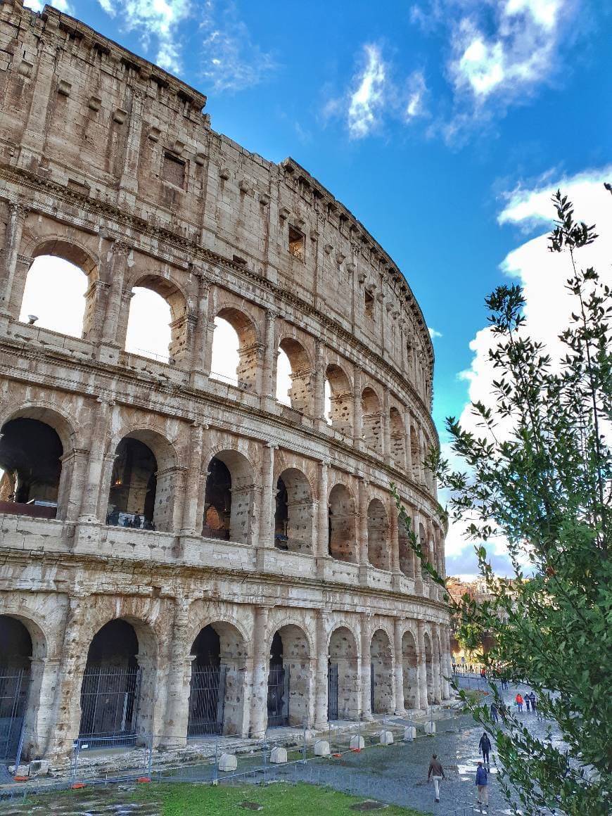 Place Coliseo de Roma