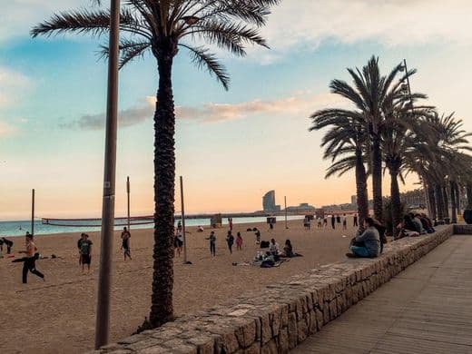 Place La Barceloneta