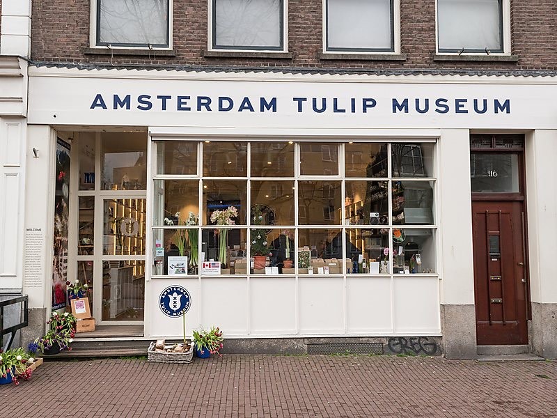 Place Amsterdam Tulip Museum