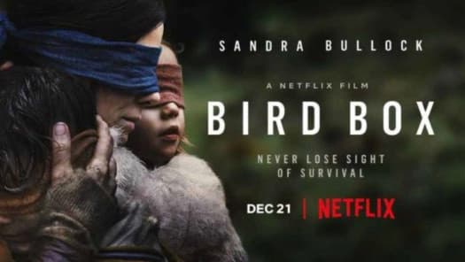 Movie Bird Box 💛🙈