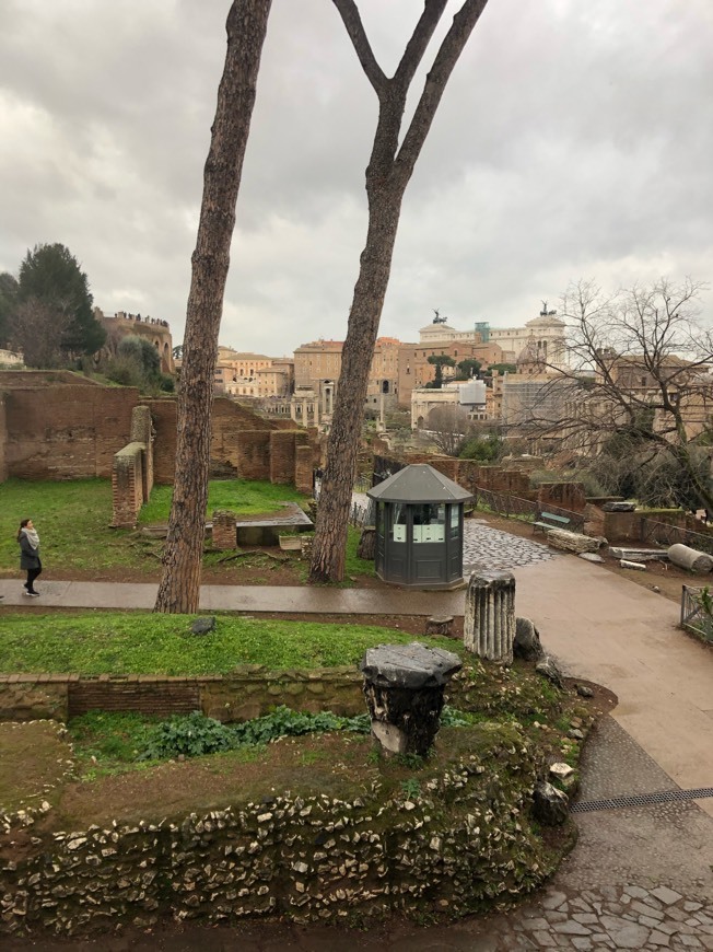 Place Foro Romano