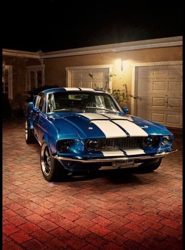 Fashion Shelby gt500 1967 🤩