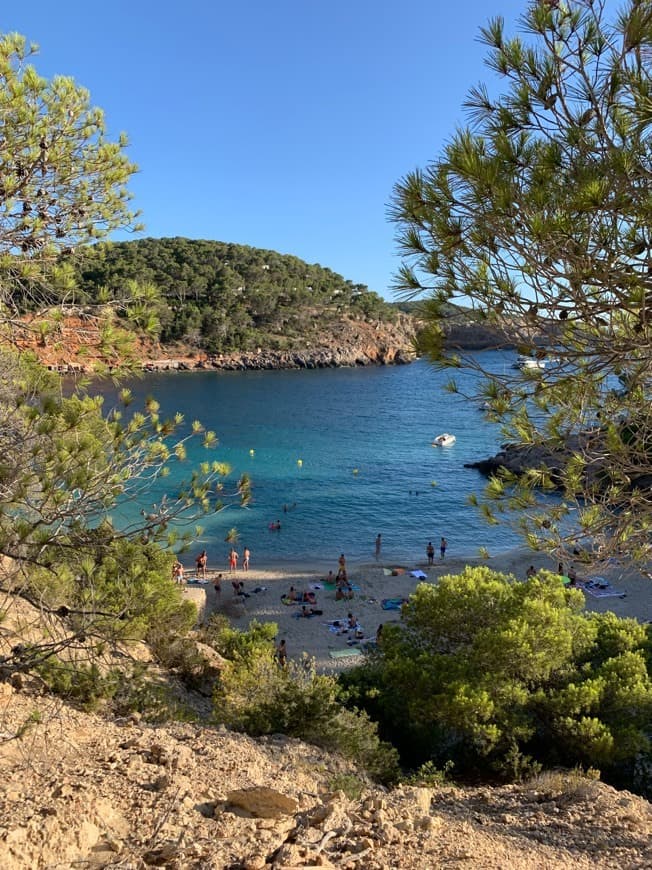 Lugar Cala Salada