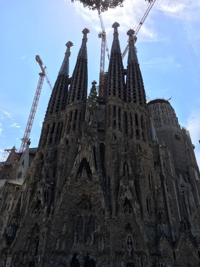 Lugar Basílica Sagrada Familia