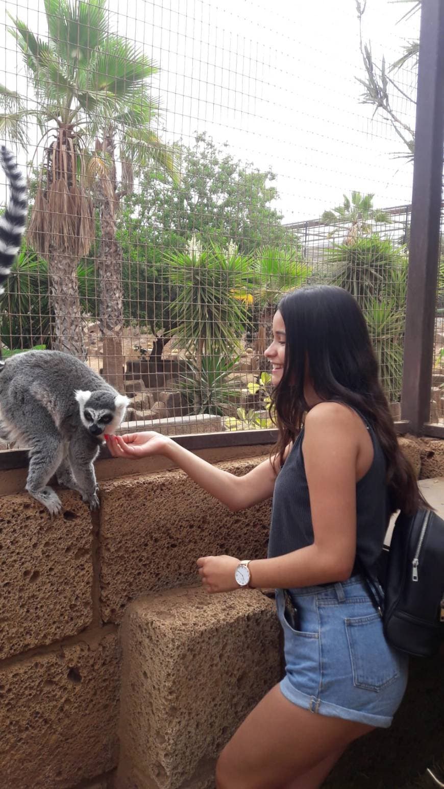 Place Zoo Tenerife Monkey Park