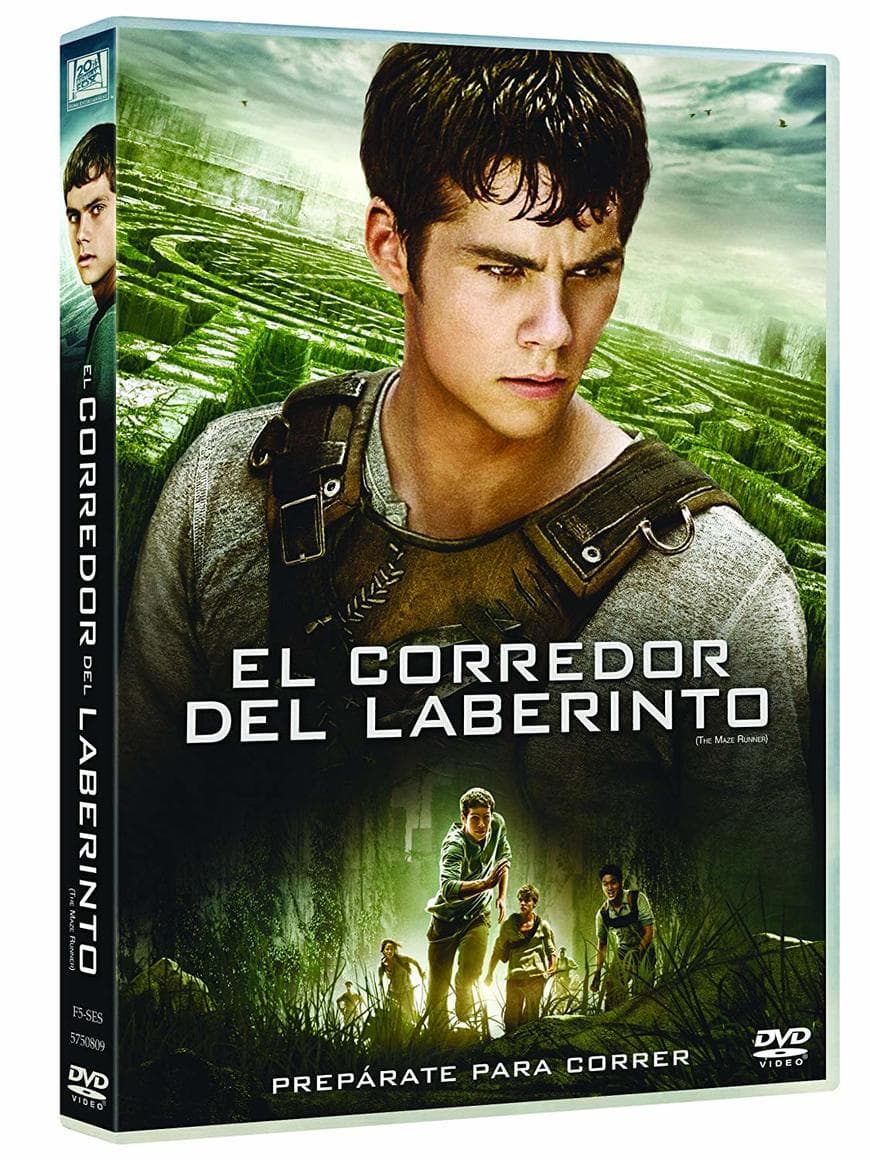 Película The Maze Runner