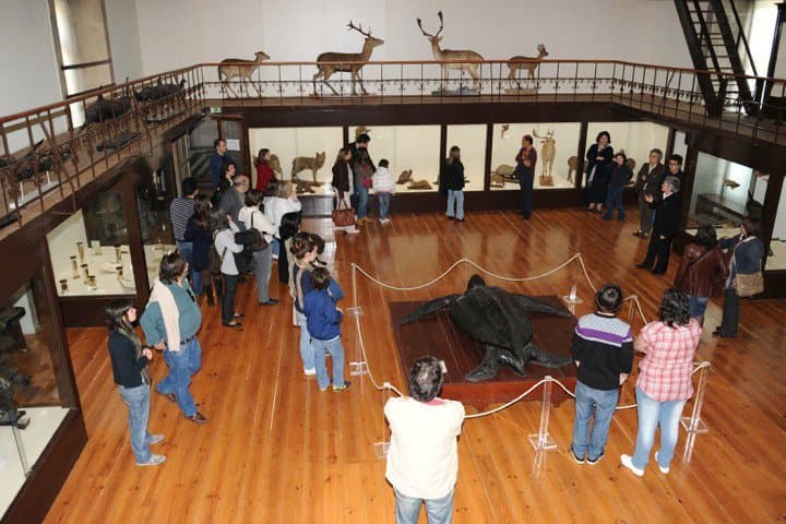 Place Museu de História Natural e da Ciência da Universidade do Porto