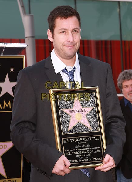 Place Adam Sandler Star