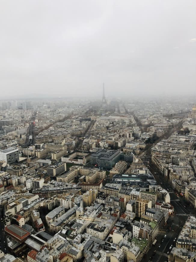 Lugar Montparnasse Tower