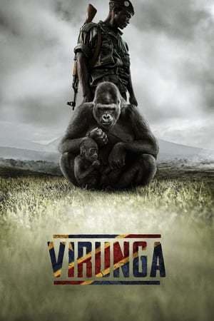 Película Virunga