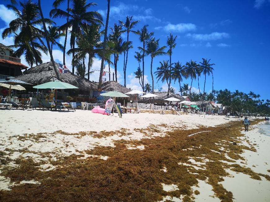 Lugar Punta Cana